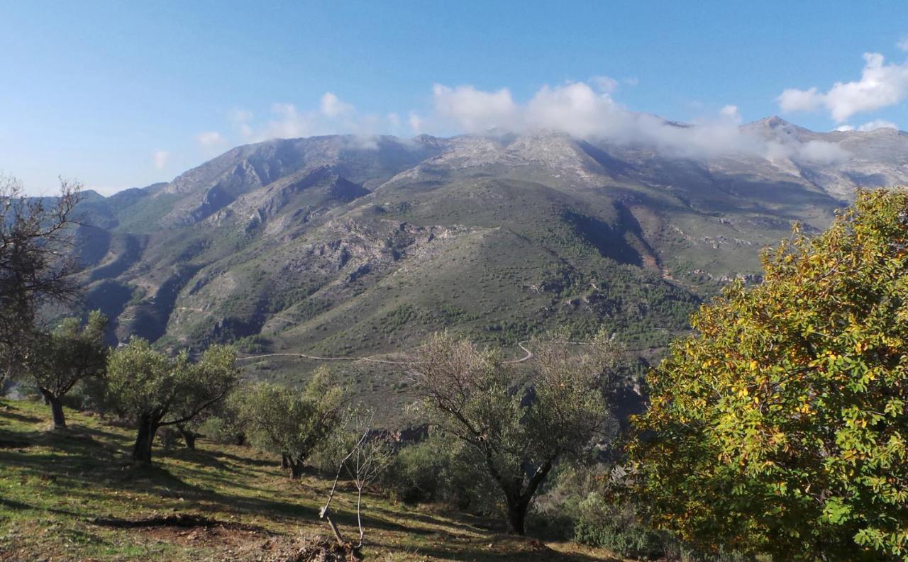 Cortijo Luque Villa Nerja Eksteriør billede